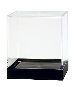 Clear Styrene Plastic Containers sith Black Base For Display