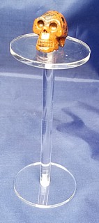 Clear Acrylic Circular Barbell Platform Pedetsal Riser in Plexi or Lucite