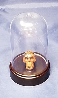Clear Plastic Dome Displays with Black Plastic Bases