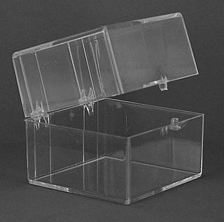 Clear Molded Styrene Plastic 2 Piece Hinged Box Container