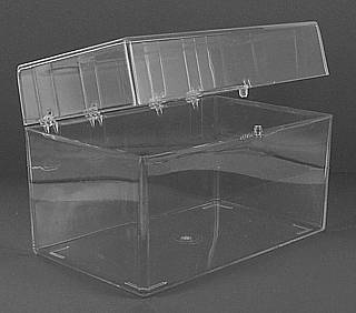 Clear Molded Styrene Plastic 2 Piece Hinged Box Container