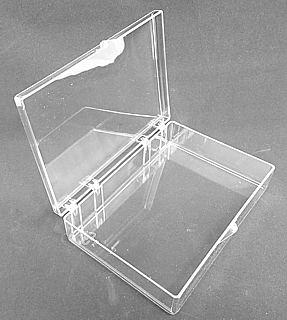 Clear Molded Styrene Plastic 2 Piece Hinged Box Container