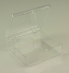 Clear Molded Styrene Plastic 2 Piece Hinged Box Container