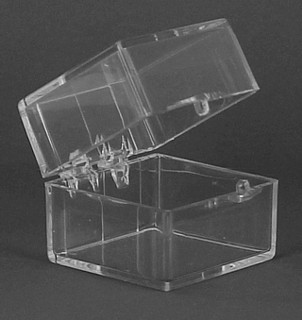 Clear Molded Styrene Plastic 2 Piece Hinged Box Container